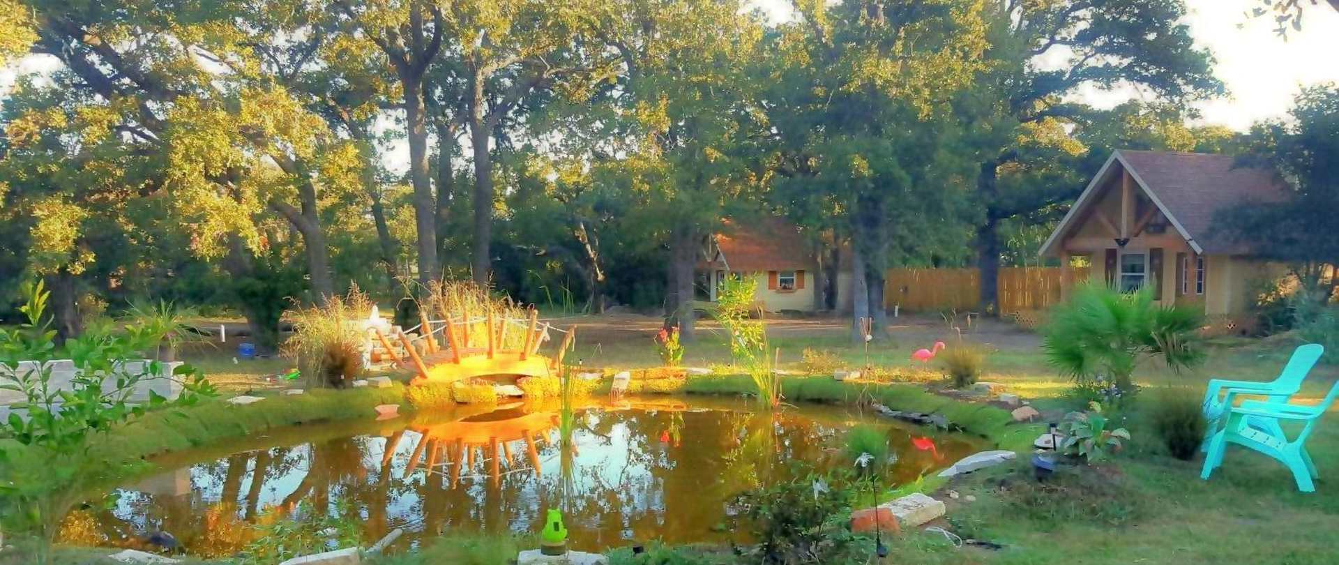 Pond_01